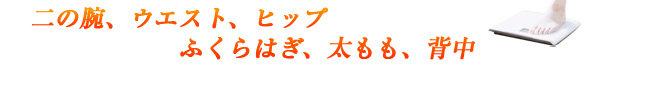 二の腕、ウエスト、ヒップ、ふくらはぎ、太もも、背中
