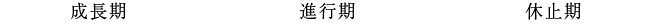 毛周期